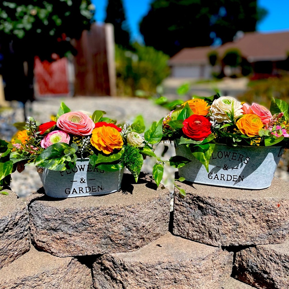 Set of two matching arrangements. Filled with sola wood ranunculus flowers.